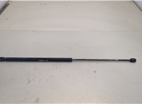 81611400016 Амортизатор капота Man 4-Serie TGA 2000-2008 20450247 #1