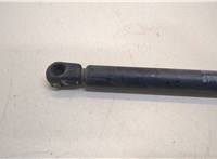 81611400016 Амортизатор капота Man 4-Serie TGA 2000-2008 20450247 #2