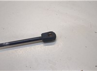 81611400016 Амортизатор капота Man 4-Serie TGA 2000-2008 20450247 #3