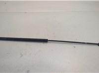 81611400016 Амортизатор капота Man 4-Serie TGA 2000-2008 20450254 #1