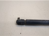 81611400016 Амортизатор капота Man 4-Serie TGA 2000-2008 20450254 #2