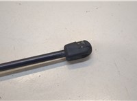81611400016 Амортизатор капота Man 4-Serie TGA 2000-2008 20450254 #3