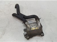  Теплообменник Dacia Sandero 2013-2020 20450391 #2