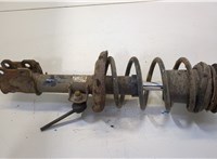  Амортизатор подвески Opel Corsa C 2000-2006 20450559 #1