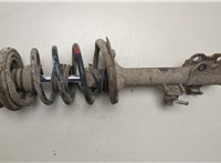  Амортизатор подвески Nissan X-Trail (T30) 2001-2006 20450598 #1