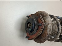  Амортизатор подвески Nissan X-Trail (T30) 2001-2006 20450598 #2