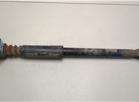  Амортизатор подвески Audi A3 (8L) 1996-2003 20450612 #1
