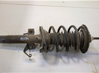  Амортизатор подвески Ford Fiesta 1995-2002 20450652 #1