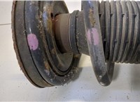  Амортизатор подвески Opel Omega B 1994-2003 20450676 #4