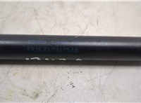 FR3B63406A10AB Амортизатор крышки багажника Ford Mustang 2017-2023 20450915 #3