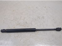 6L2Z16C826C Амортизатор капота Ford Explorer 2006-2010 20450923 #1