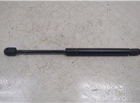 6L2Z16C826C Амортизатор капота Ford Explorer 2006-2010 20450927 #1