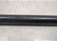 6L2Z16C826C Амортизатор капота Ford Explorer 2006-2010 20450927 #2