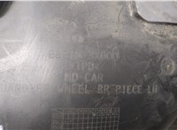 868113X000 Защита арок (подкрылок) Hyundai Elantra 2010-2016 20450951 #5
