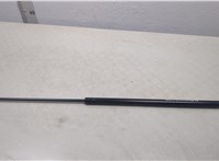  Амортизатор капота BMW 7 E65 2001-2008 20451020 #1