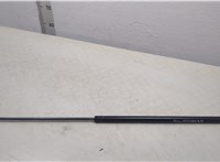  Амортизатор капота BMW 7 E65 2001-2008 20451021 #1