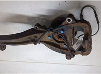 G2MZ1104E Ступица (кулак, цапфа) Ford Explorer 2006-2010 20451031 #3
