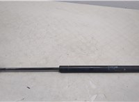 6896001010 Амортизатор крышки багажника Pontiac Vibe 1 2002-2008 20451045 #1