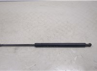 6896001010 Амортизатор крышки багажника Pontiac Vibe 1 2002-2008 20451047 #1
