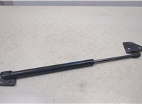  Амортизатор крышки багажника Nissan Pathfinder 2004-2014 20451066 #1