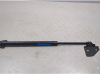  Амортизатор крышки багажника Nissan Pathfinder 2004-2014 20451069 #1