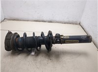 5QM413031E, 5QM411105AB Амортизатор подвески Volkswagen Golf 7 2012-2020 20451207 #7