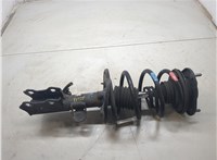 4852079105, 4813176010 Амортизатор подвески Lexus CT 2010-2018 20451251 #4