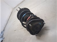 4852079105, 4813176010 Амортизатор подвески Lexus CT 2010-2018 20451251 #6