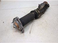 37126794549, 6794549 Амортизатор подвески BMW X6 E71 2007-2014 20451274 #3