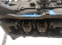  Блок цилиндров (Шорт блок) Nissan Almera Tino 20451448 #6
