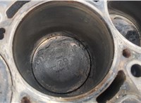  Блок цилиндров (Шорт блок) Nissan Almera Tino 20451448 #9