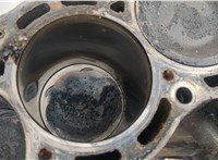  Блок цилиндров (Шорт блок) Nissan Almera Tino 20451448 #10