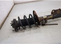 JR3Z18124E, FR3Z5310Y Амортизатор подвески Ford Mustang 2017-2023 20451467 #1