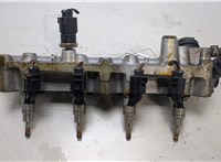  Форсунка топливная Volkswagen Golf 5 2003-2009 20451516 #4