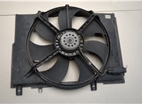  Вентилятор радиатора Mercedes CLK W208 1997-2002 20451848 #1