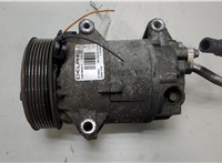  Компрессор кондиционера Renault Megane 2 2002-2009 20451927 #1
