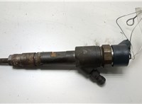  Форсунка топливная Renault Megane 2 2002-2009 20451930 #1
