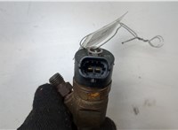  Форсунка топливная Renault Megane 2 2002-2009 20451934 #2