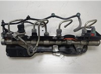  Рампа (рейка) топливная Renault Megane 2 2002-2009 20451935 #1