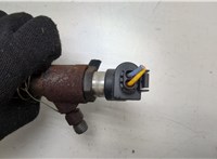 9801125480 Форсунка топливная Citroen Jumper (Relay) 2014-2025 20451950 #2