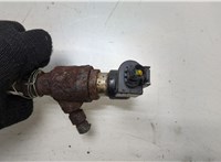 9801125480 Форсунка топливная Citroen Jumper (Relay) 2014-2025 20451952 #2