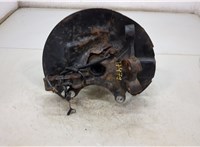 FR3Z1104A, FR3Z3106A Ступица (кулак, цапфа) Ford Mustang 2017-2023 20452132 #2