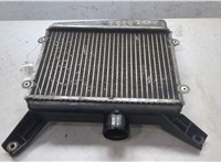1794027040 Радиатор интеркулера Toyota RAV 4 2000-2005 20452370 #8