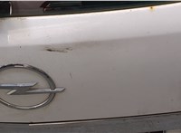  Двигатель стеклоочистителя (моторчик дворников) задний Opel Astra H 2004-2010 11421872 #9