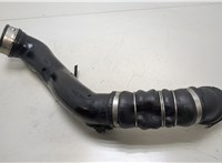 11618506079 Патрубок интеркулера BMW X6 E71 2007-2014 20452700 #4
