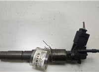 13537808089 Форсунка топливная BMW X6 E71 2007-2014 20452704 #1