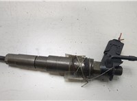 13537808089 Форсунка топливная BMW X6 E71 2007-2014 20452705 #1