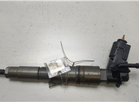 13537808089 Форсунка топливная BMW X6 E71 2007-2014 20452706 #1