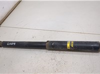  Амортизатор подвески Toyota RAV 4 1994-2000 20452812 #2