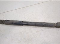  Амортизатор подвески Dacia Logan 2004-2012 20452818 #3